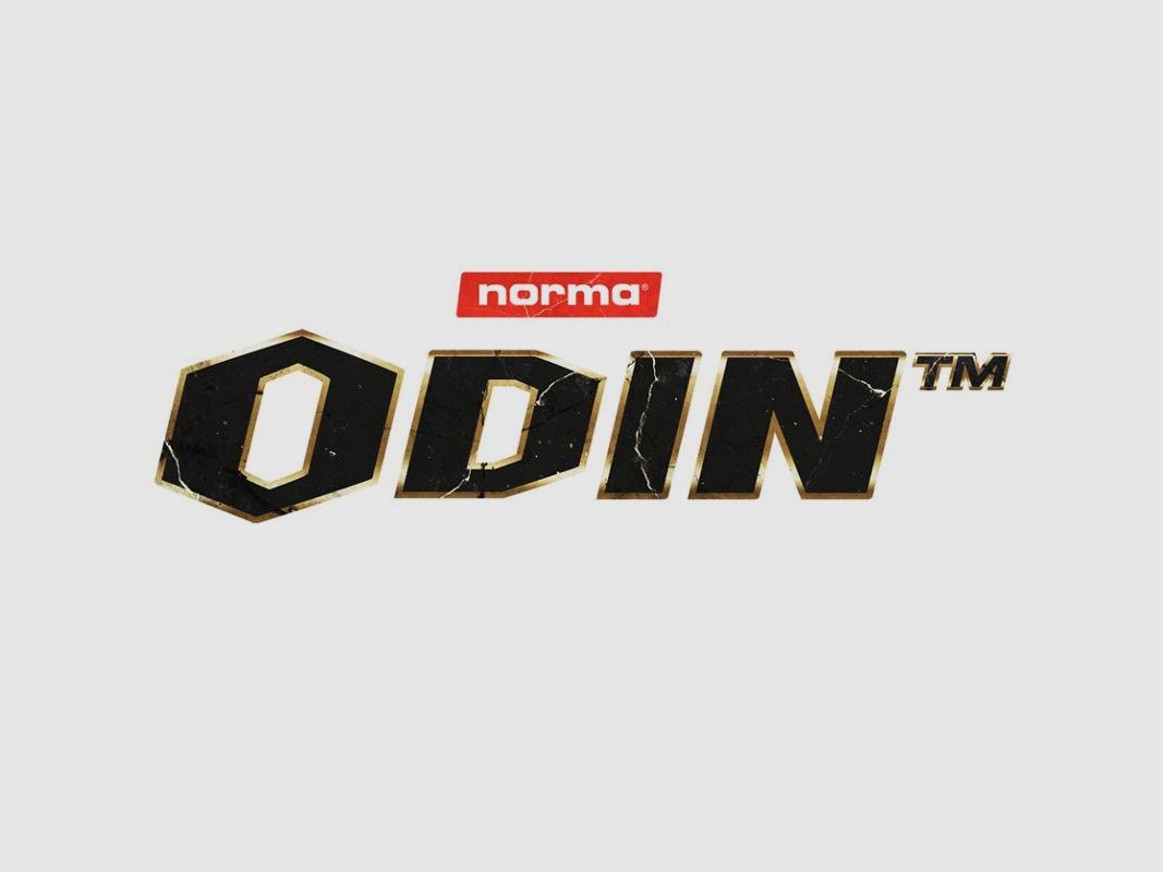Norma .308 Win. Odin 9,7g/150gr, Bild 6 von 6