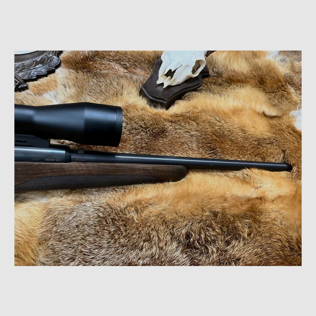 Mauser M25 Pur