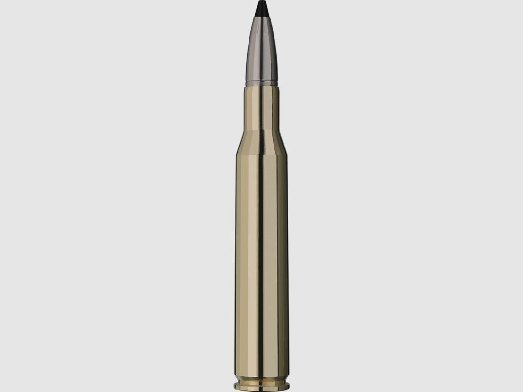 RWS 270 win Speed Tip Pro Hunting 9,1 g / 140 grs - Box mit 20 Stk., Bild 2 von 2