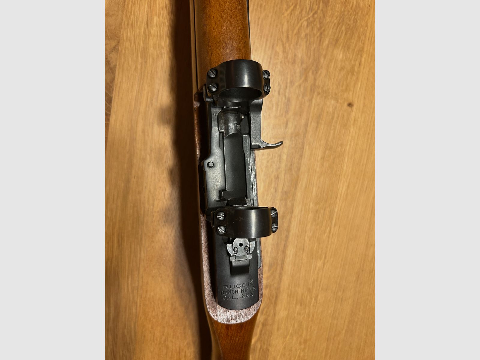 Ruger mini 14