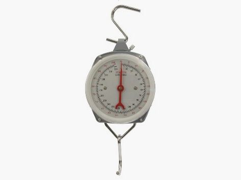 Wildwaage bis 100kg -