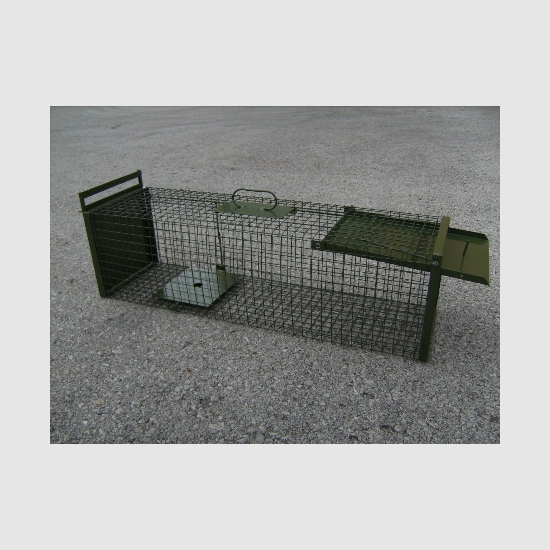 DAUTH Drahtkastenfalle mit einer Klapptür und Entnahmeschieber