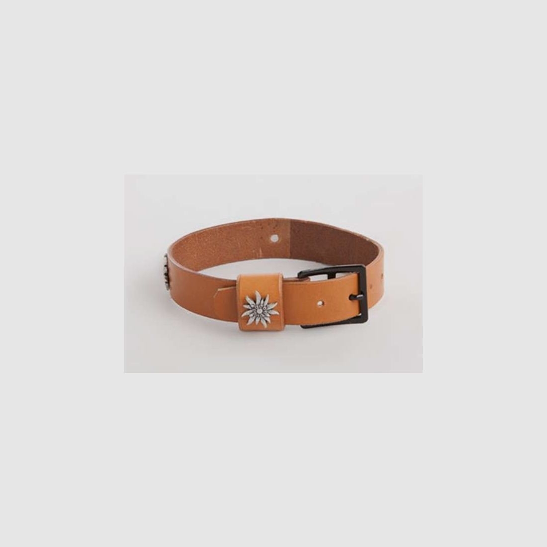 Collar para perro, cinturón original del ejército suizo (nuevo) con adornos de Edelweiss, imagen 1 de 5