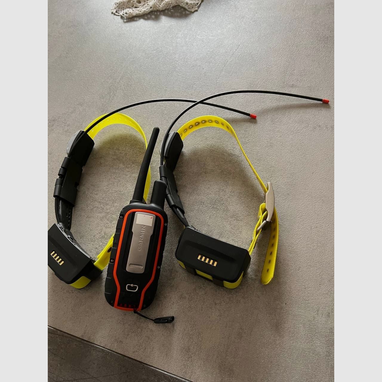 Garmin Alpha 100 mit zwei TT15 Halsbändern - Komplettset für