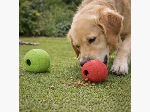 Snack Ball Spielzeug Leckerli-Spender für Hunde - 7 cm