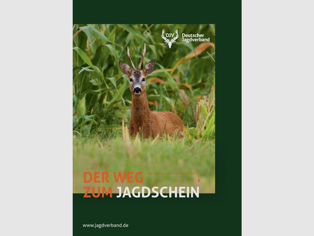 Brochure "Le Chemin vers le Permis de Chasser" - actuellement en révision