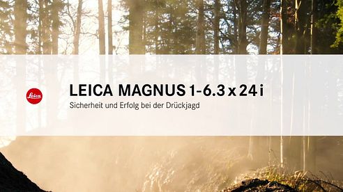 Magnus 1-6 3x24 i – Sicherheit und Erfolg bei der Drückjagd