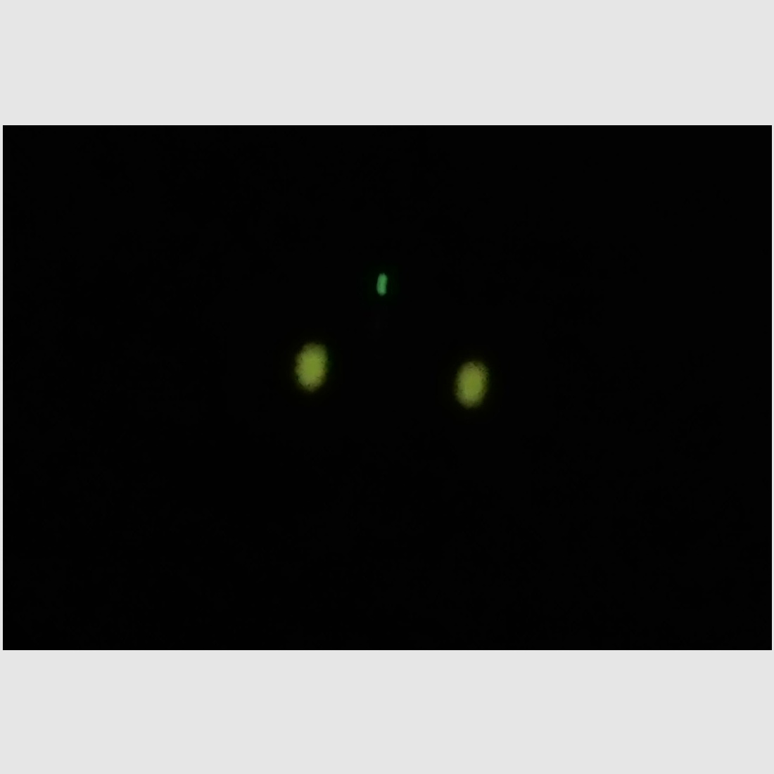 Trijicon Glock Tritium Sight