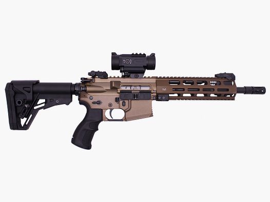 SLB Haenel CR223, 10.5''