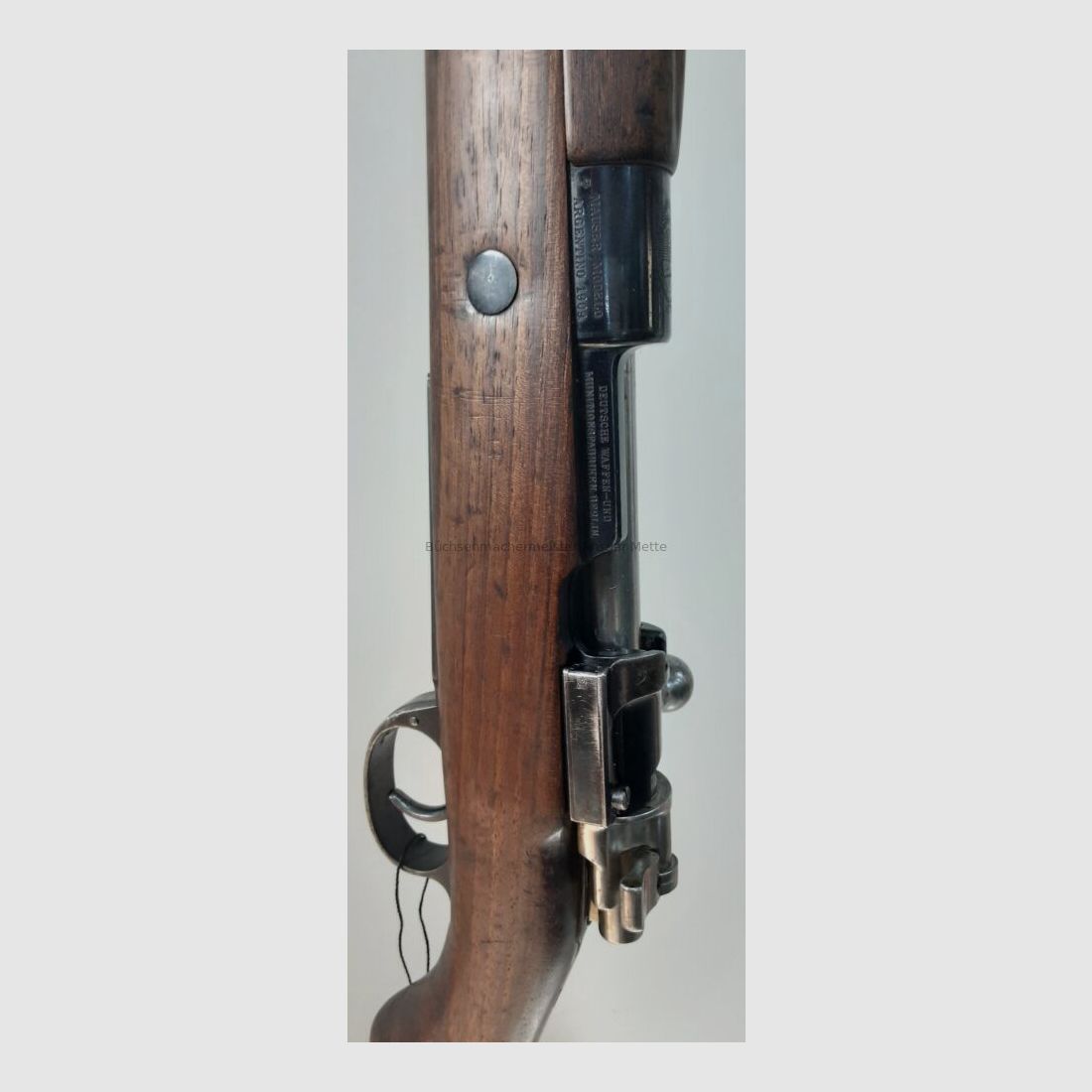 DWM M1909 Argentino