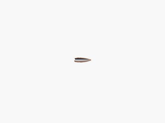 Privi Partizan .223 62 gr FMJ BT 100 Stk.