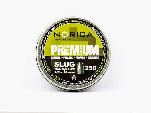 Hohlspitz Diabolos Norica Premium Slug Kaliber 5,5 mm 1,62 g glatt 250 StĂĽck