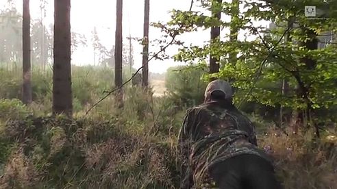 Rehwildjagd September 2014 / Deer hunting in Germany