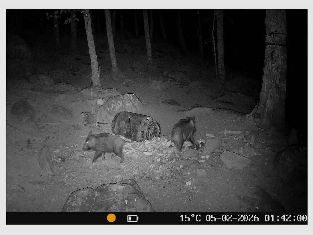 Hikmicro caméra de chasse T16 avec batterie, image 15 sur 17