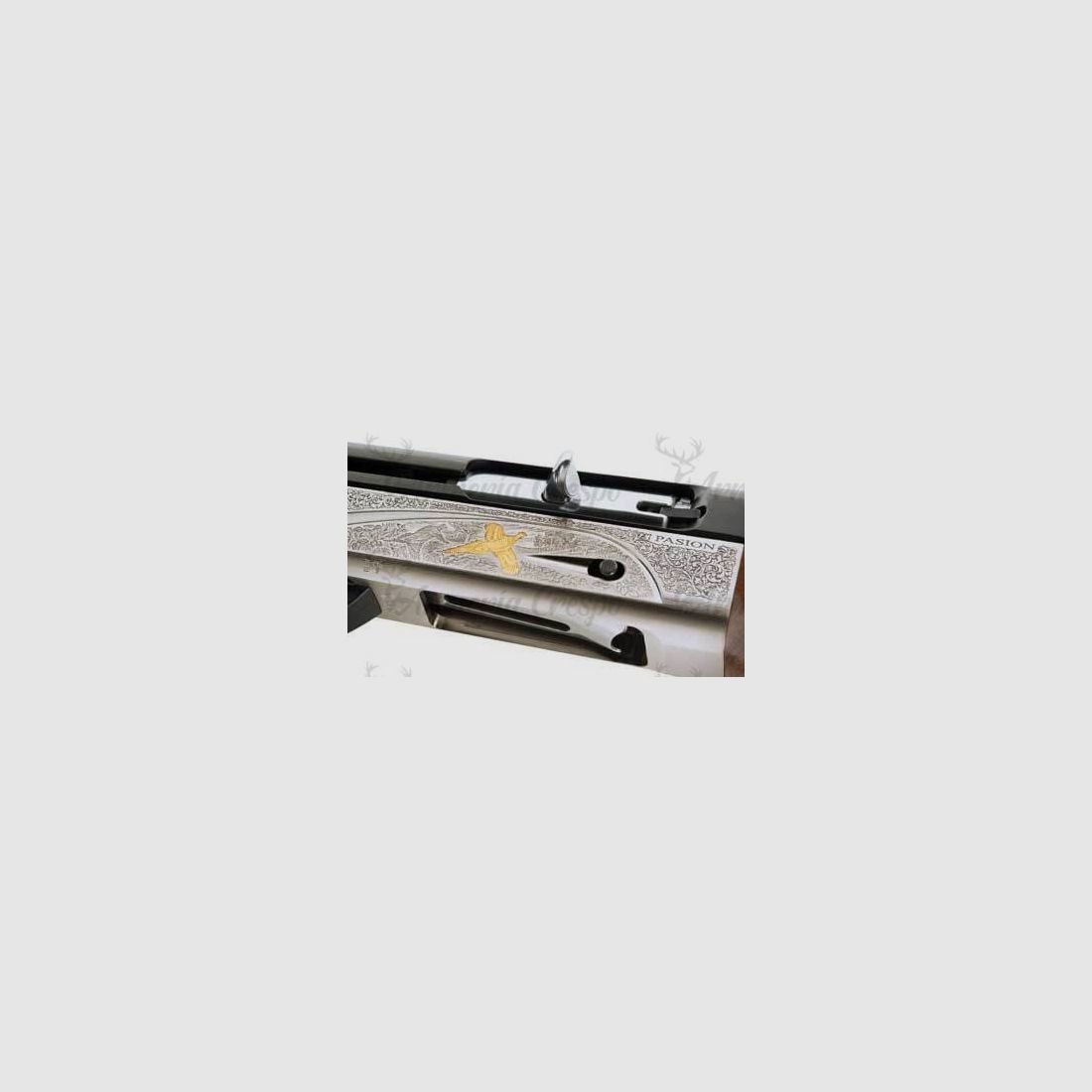 Benelli Pasion MK2, immagine 2 di 4