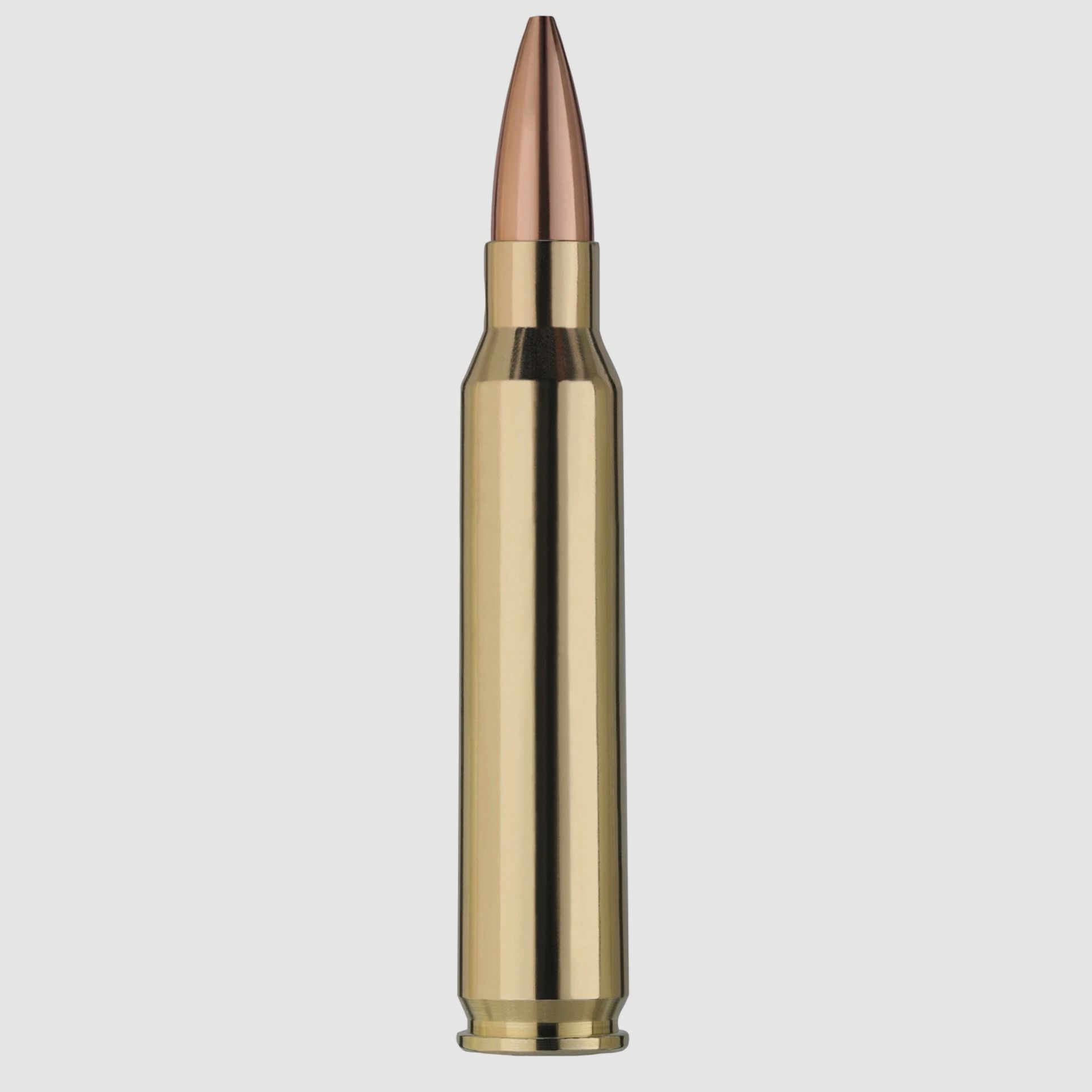 RWS 2411633 Target Elite Plus .223 Rem. Scorion 3,4g 52grs. Vollmantel