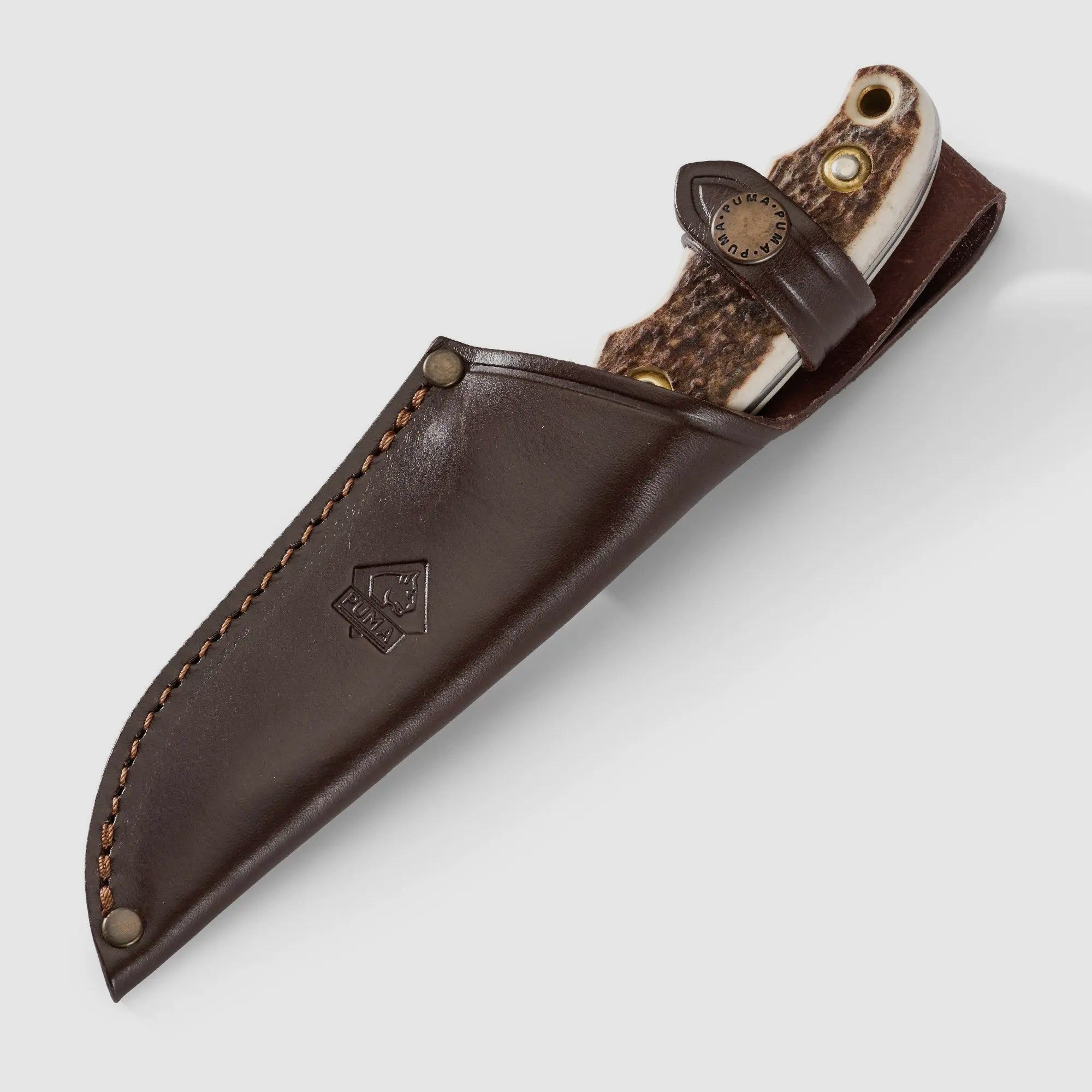 PUMA saubart, Hirschhorn