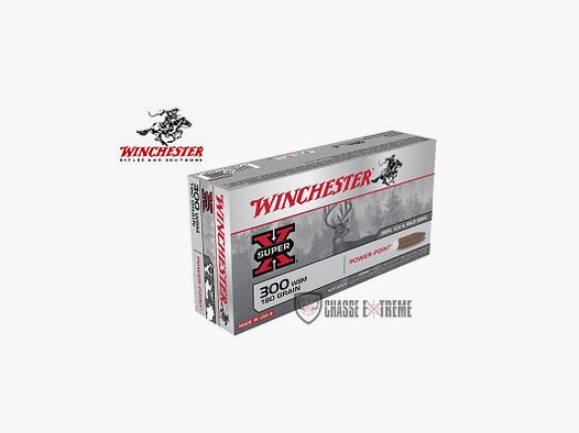 20 Munitions WINCHESTER cal 300 WSM 180gr Power Point
