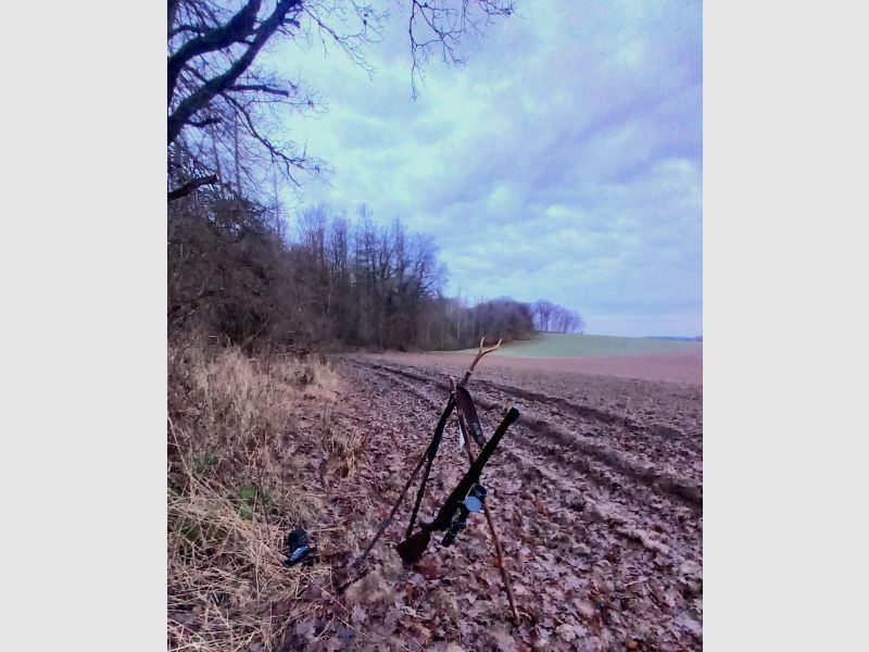 Jahreseminar mit "Jagd und Waidwerk durch die Jahreszeiten" für Jungjägerinnen und Jungjäger