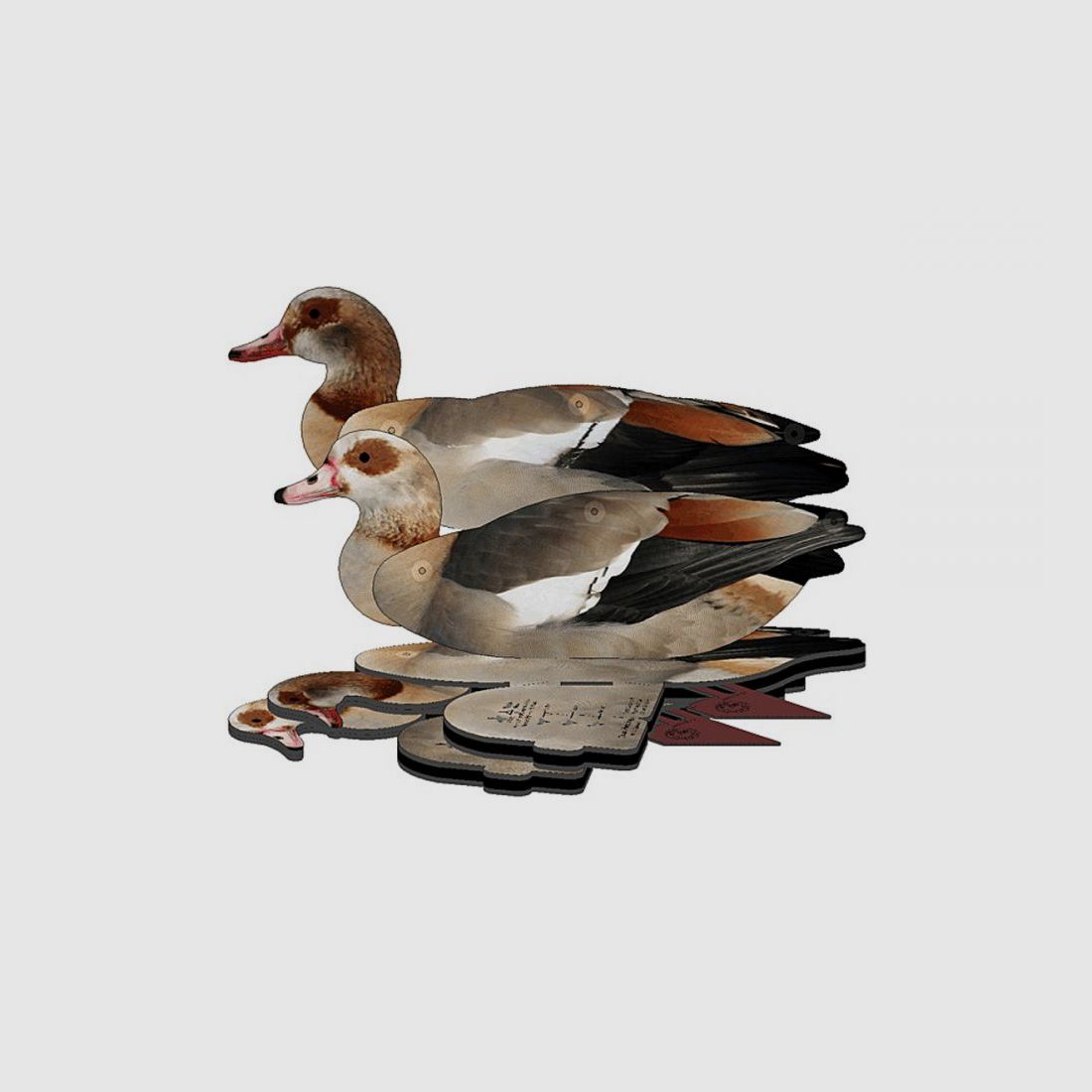 National Rifle Association FUD Lockvogel Nilgans 6er Pack
