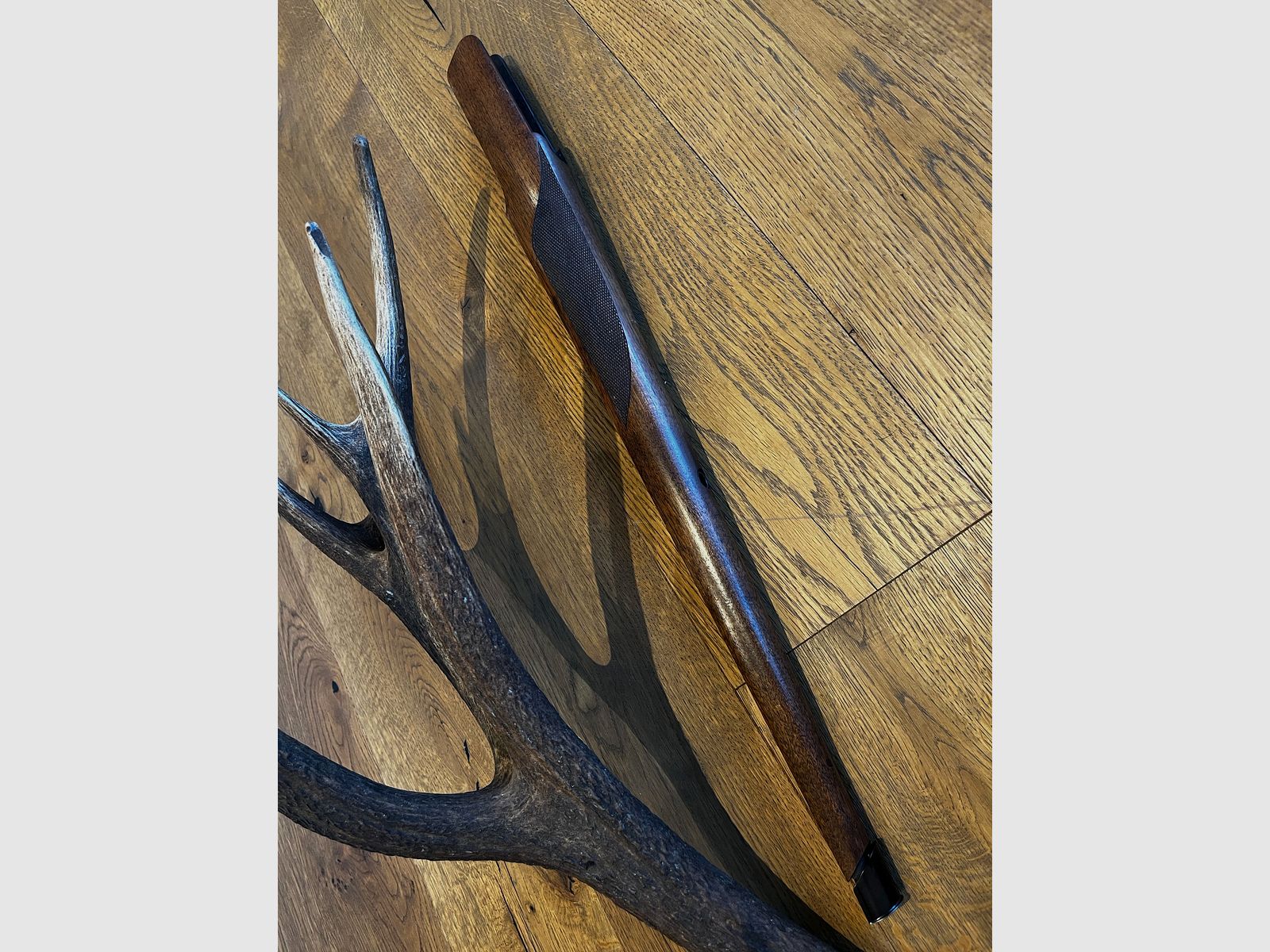 Sauer 202 Vorderschaft Stutzen