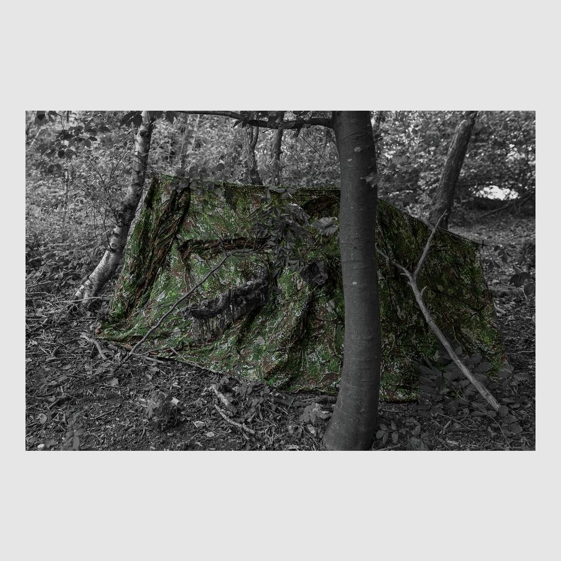 Ghosthood RECCE-NET