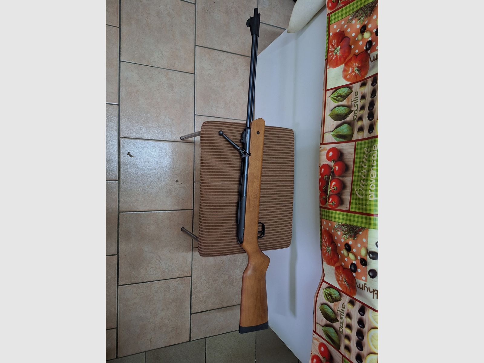 Fusil à air comprimé Diana Oktoberfest