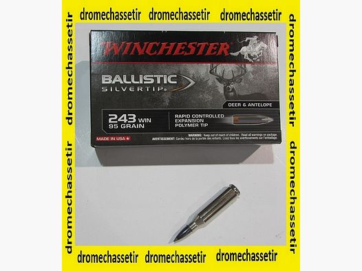 1 Pudełko 20 nabojów, 243 Winchester, Ballistic Silvertip, 95 Grains