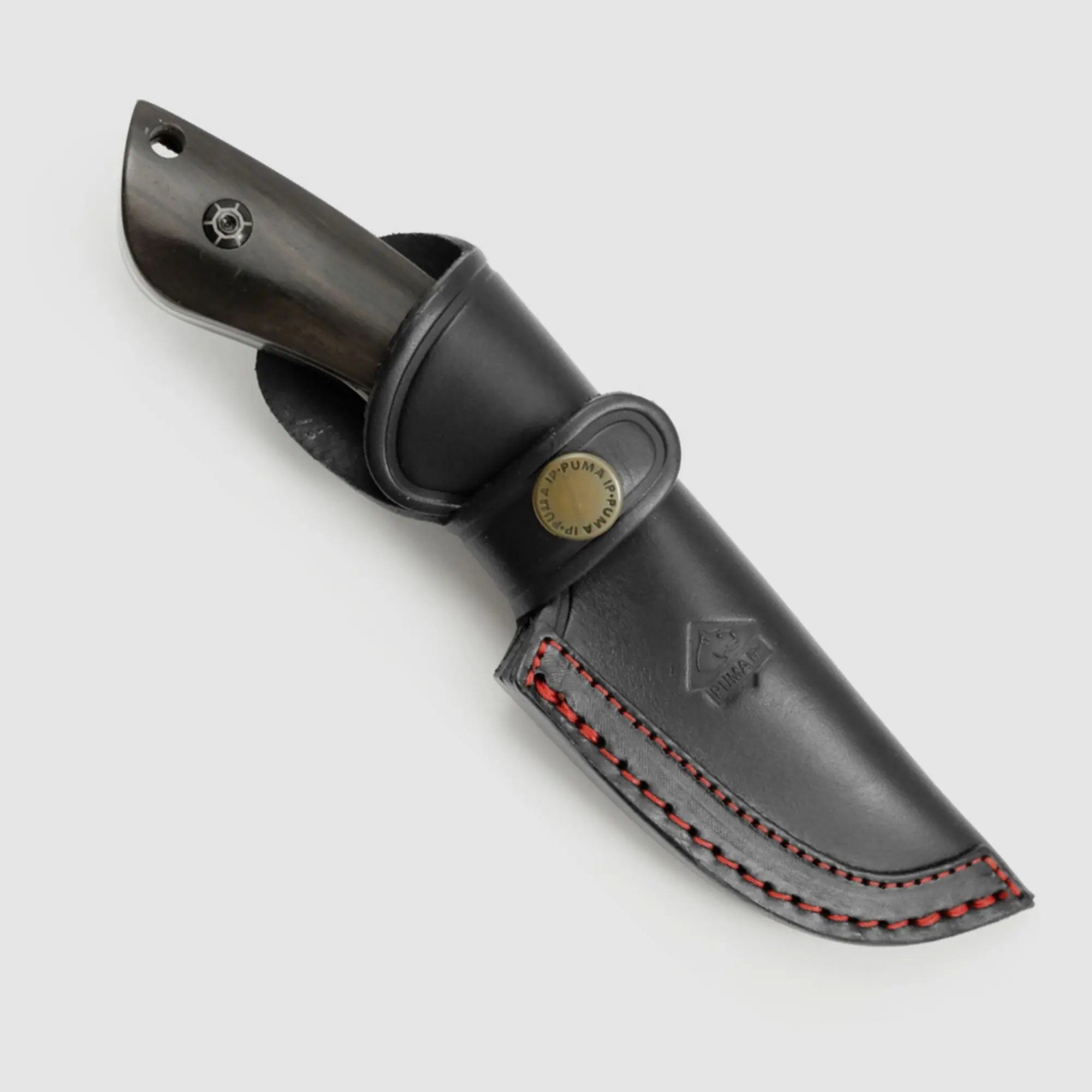 PUMA IP wildboar I, Ebenholz