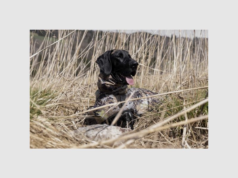 Blaser Hundeponcho - Farbe: HunTec Camo