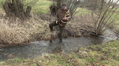 Jagd und Revier im Frühjahr