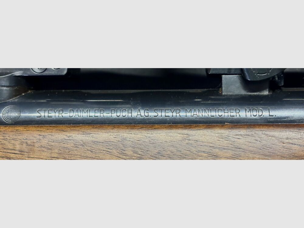 Steyr Mannlicher L .243Win