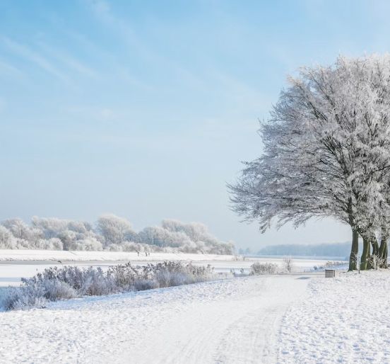 Hunting Seasons Bremen