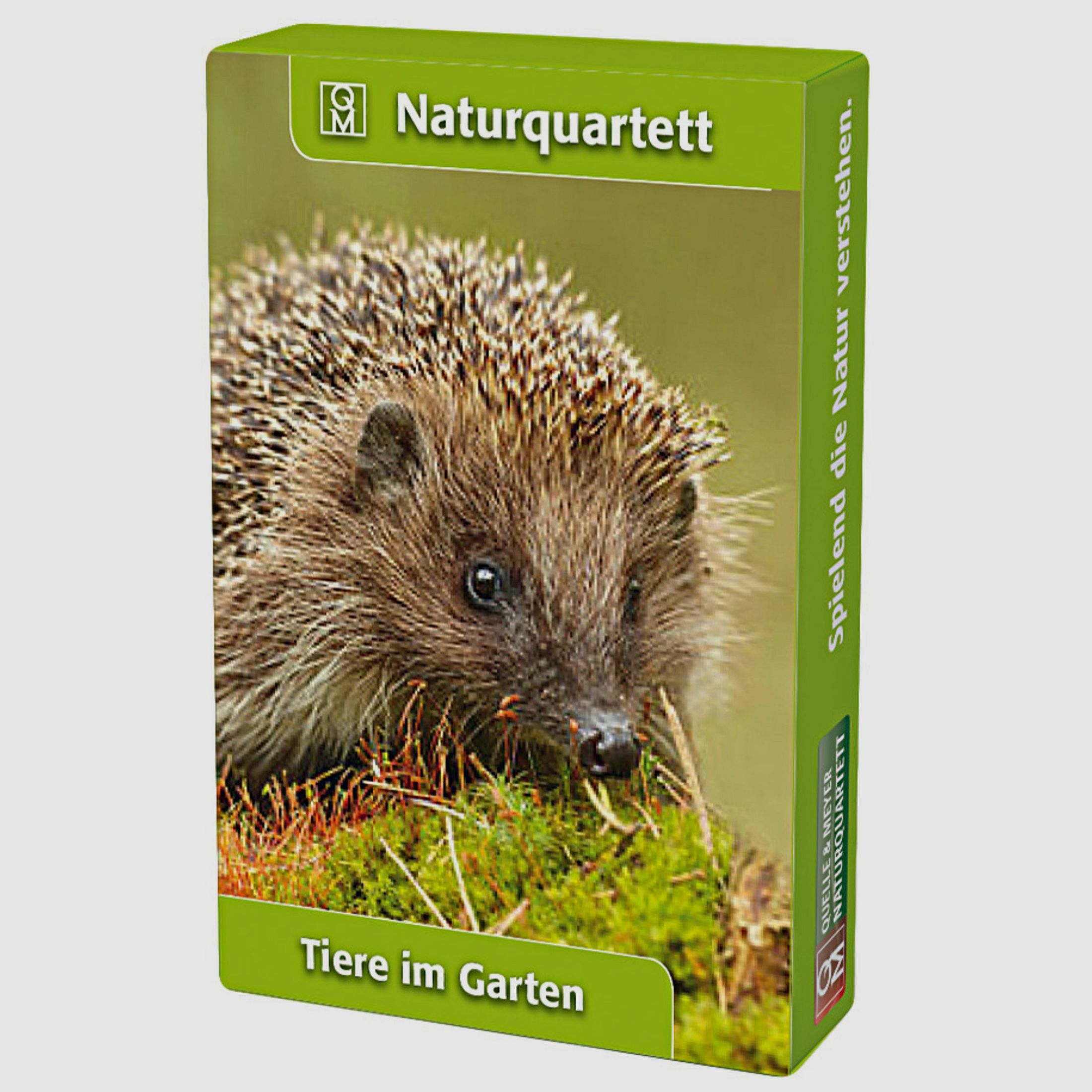 Naturquartett Tiere im Garten