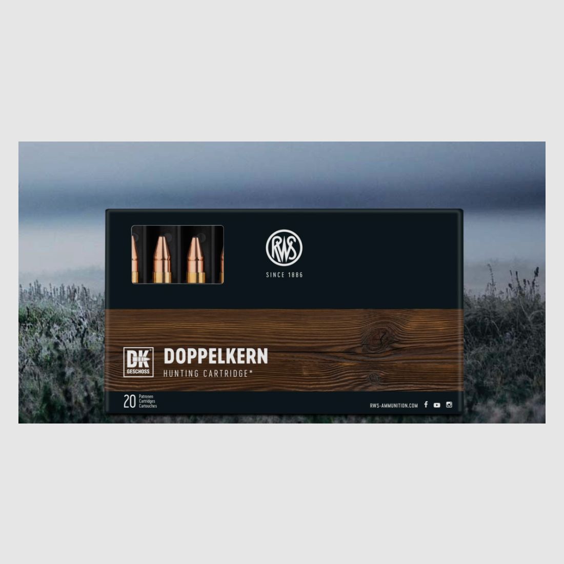 RWS 2117908 Doppelkern .308 Win. 10,7g 165gr munición de rifle 20 unidades.