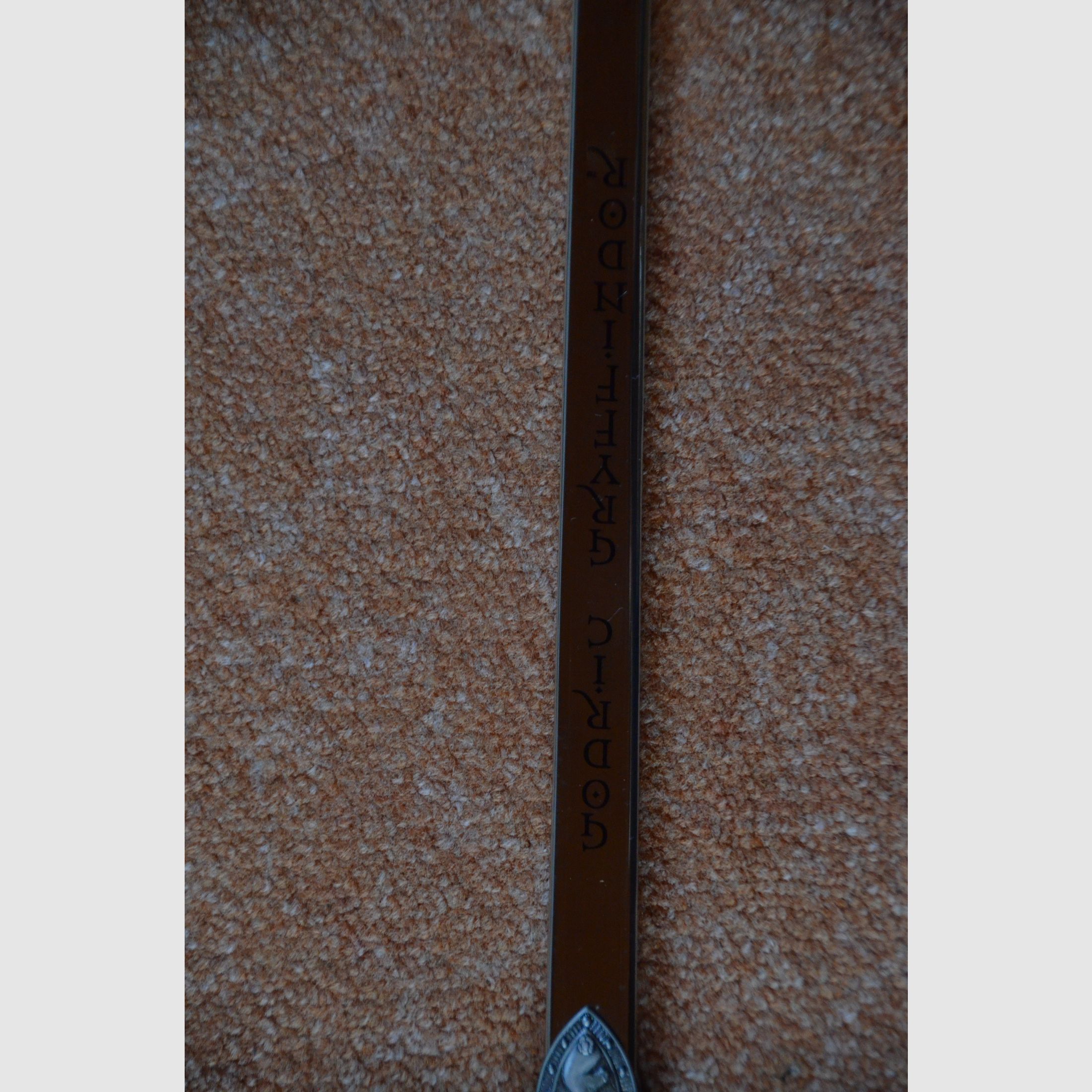 Harry Potter, Schwert von Gryffindor, Die edle Sammlung