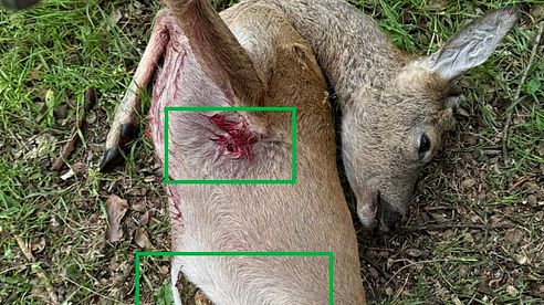 Teilzerleger zur Jagd verwenden?