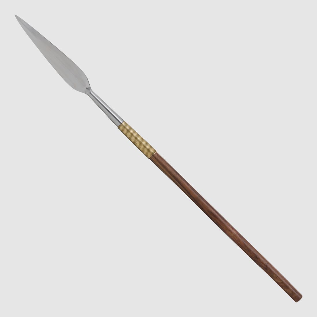 Rapier mit Scheide