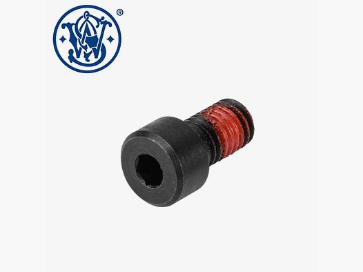 Smith&Wesson Victory take down screw