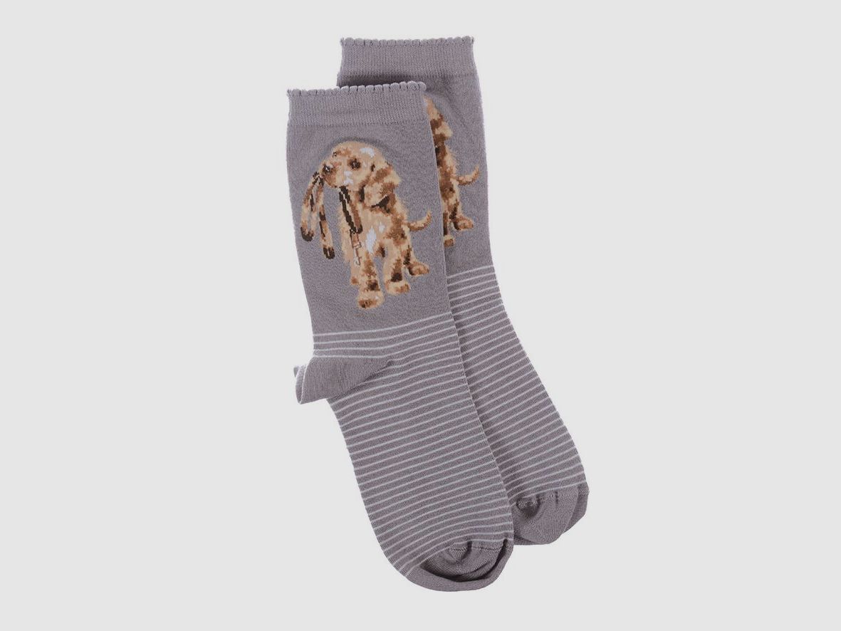 Wrendale Socken "Hopeful" mit Hund grau