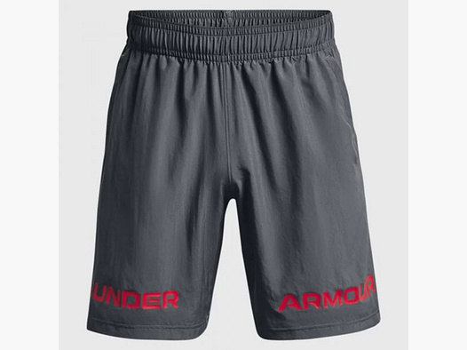 Under Armour Under Armour Shorts Woven Graphic Wordmark pitch gray