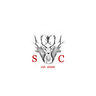 SaynConsult e.U.