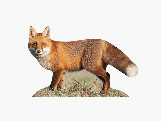 Tieraufsteller Fuchs