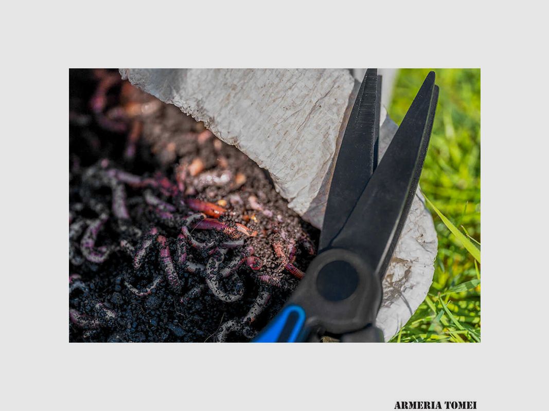 PRESTON – WORM SCISSORS, image 6 of 7