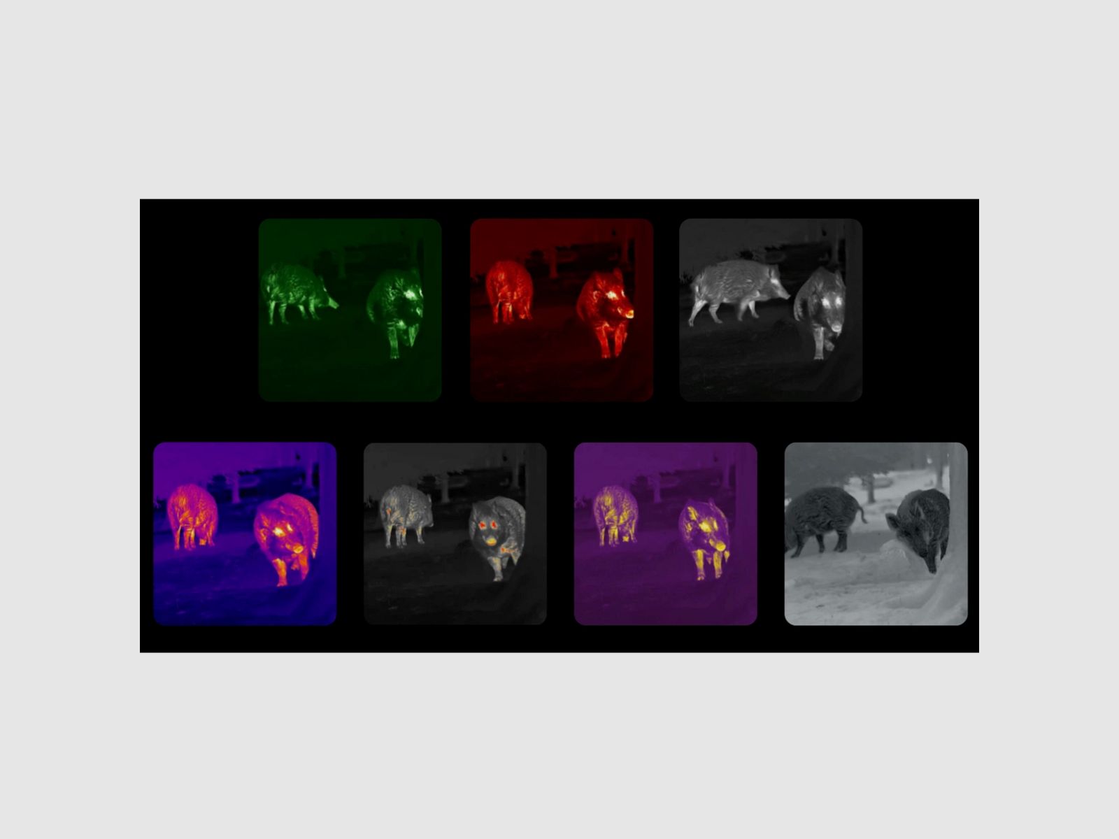 Nocpix Wärmebildmonokular LUMI L35, Bild 5 von 6