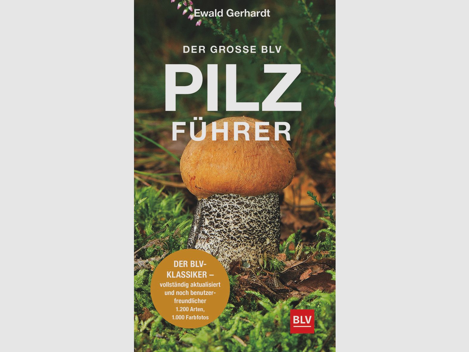 Der große BLV Pilzführer