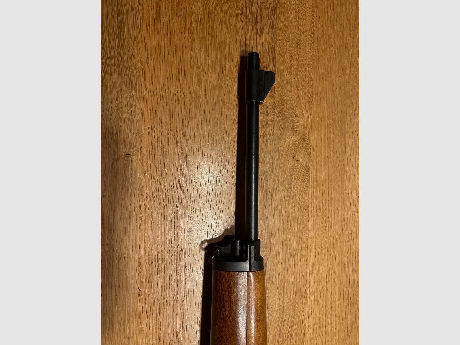 Ruger mini 14