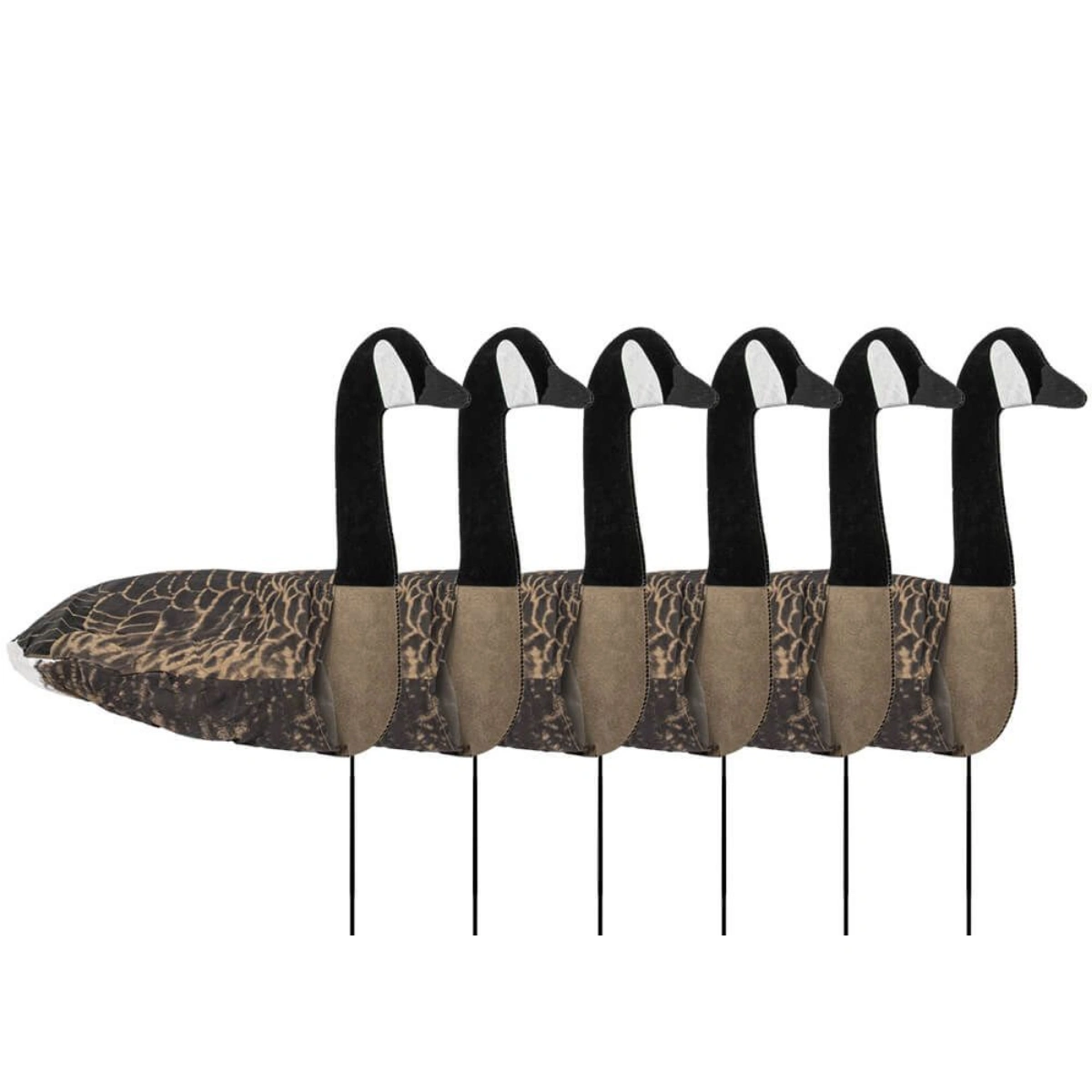Sillosocks 2D oca canadese, maestosa, confezione da 6, immagine 1 di 2