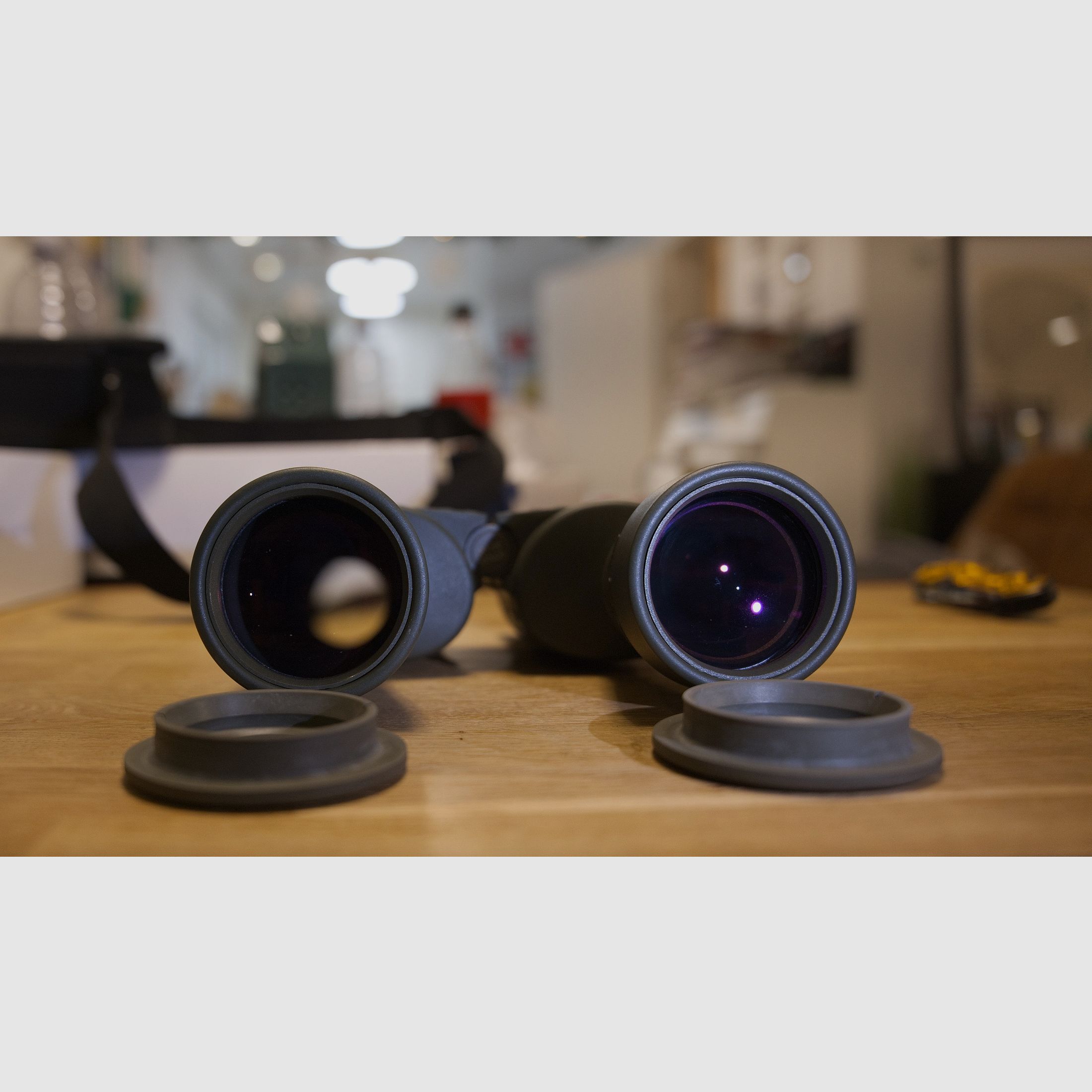 Steiner Ranger 8x56 Fernglas – robuste Jagdoptik, klare Optik, Okulare einwandfrei