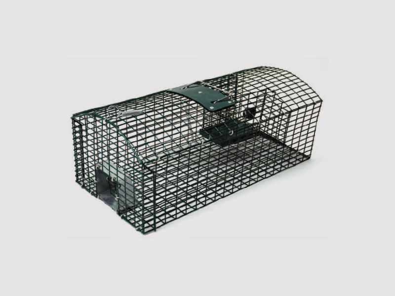 Trampa automática para ratas